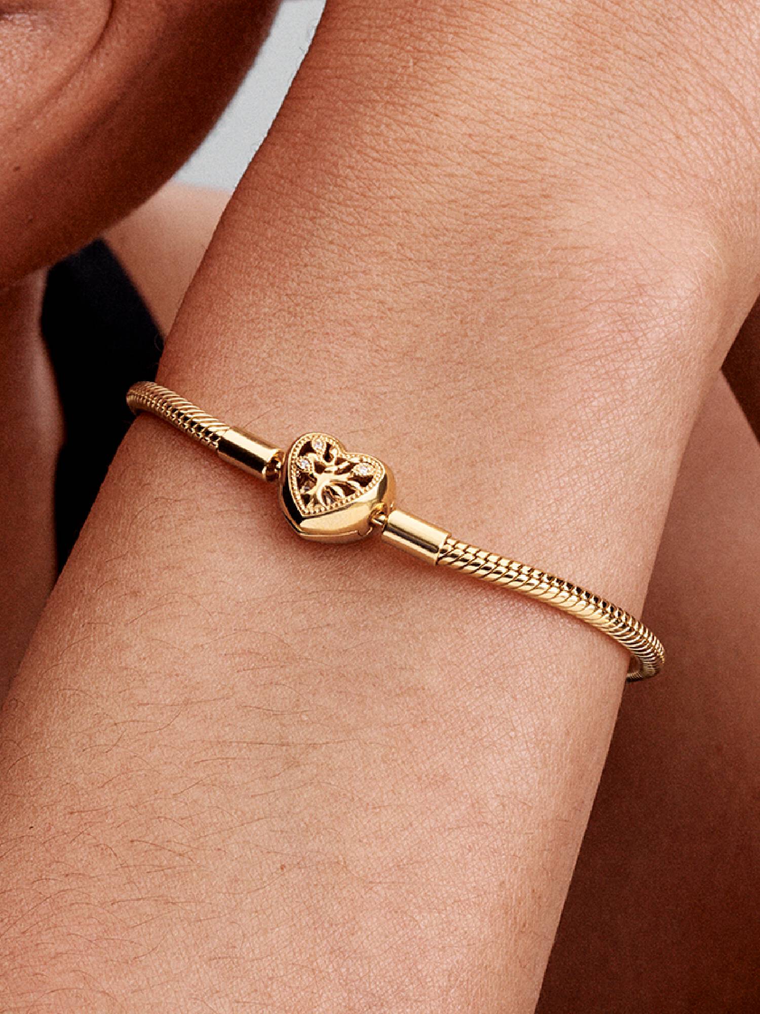 Slangenschakelarmband met stamboommotief en hartvormige sluiting