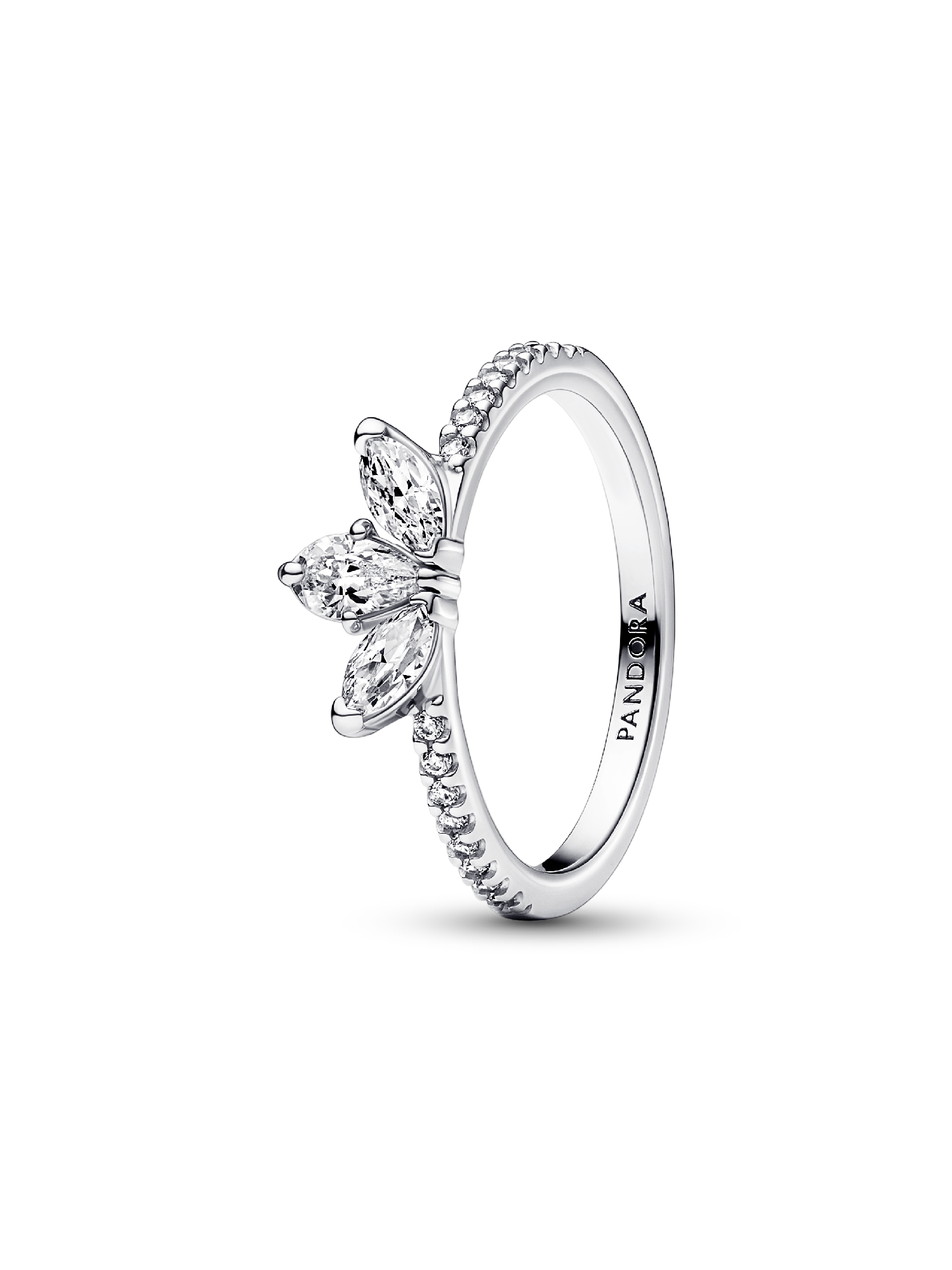 Sprankelende Herbarium Cluster Ring