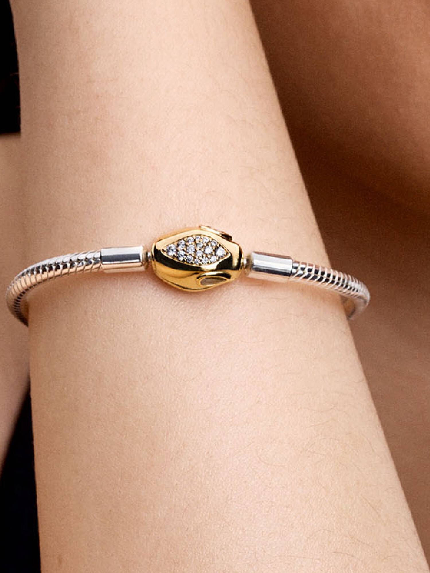 Slangensluiting & Snake Chain Armband