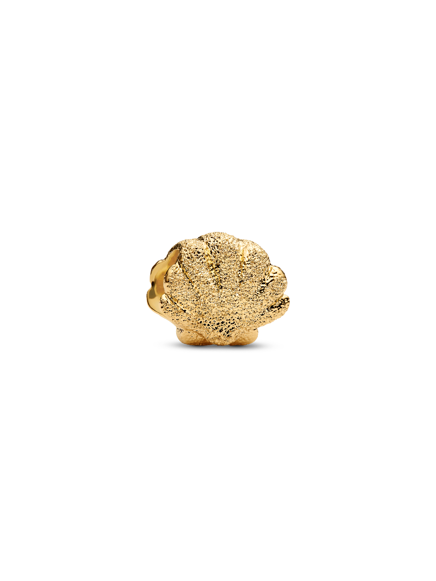 Minibedel getextureerde schelp