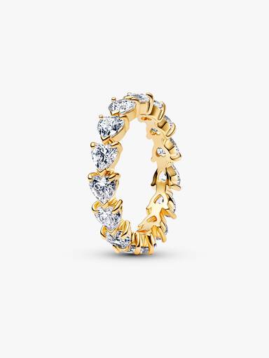 Band van Harten Ring