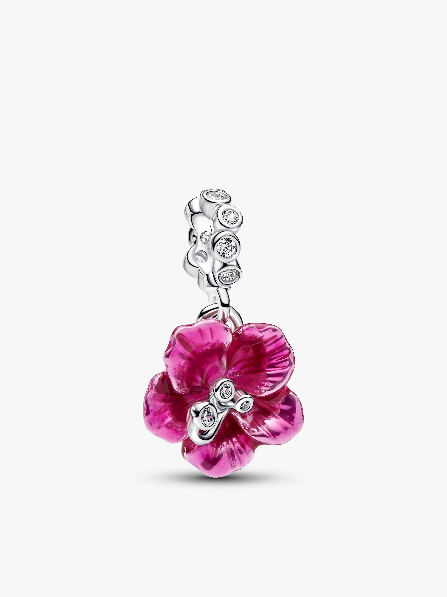 Hibiscus Hangende Bedel