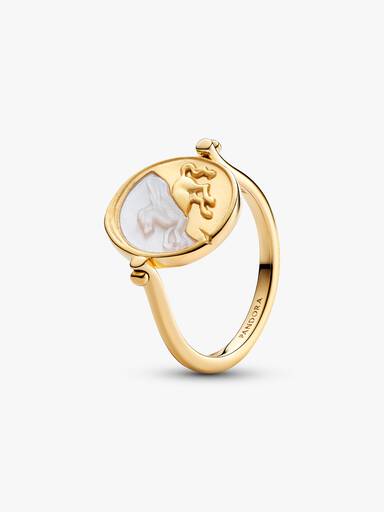 Pegasus Omkeerbare Medaillonring