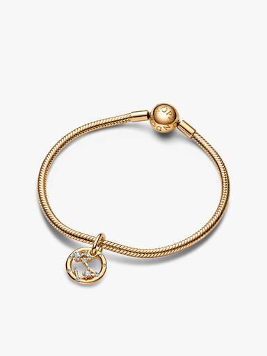 Dierenriem Vissen Armband Set
