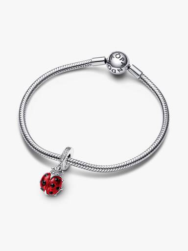 Rood lieveheersbeestje hangende bedel