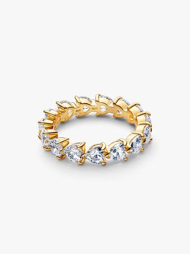 Band van Harten Ring