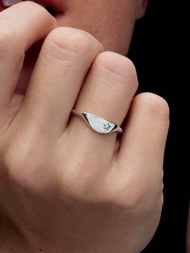 Pandora ME Halve Emaille Zegelring