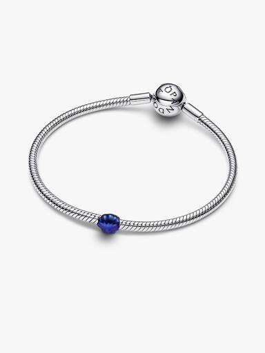 Blauwe schelp minibedel