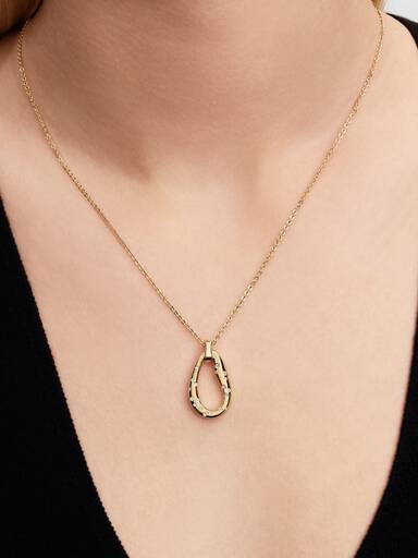 Organisch Gevormde Tweekleurige Hanger met Ketting