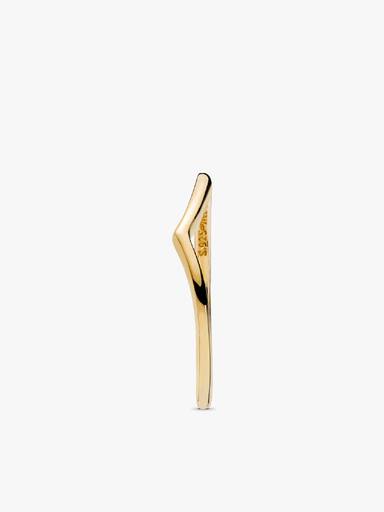 Gepolijste wishbone-ring