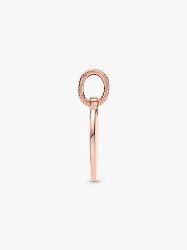 Rond Plaatje Hanger