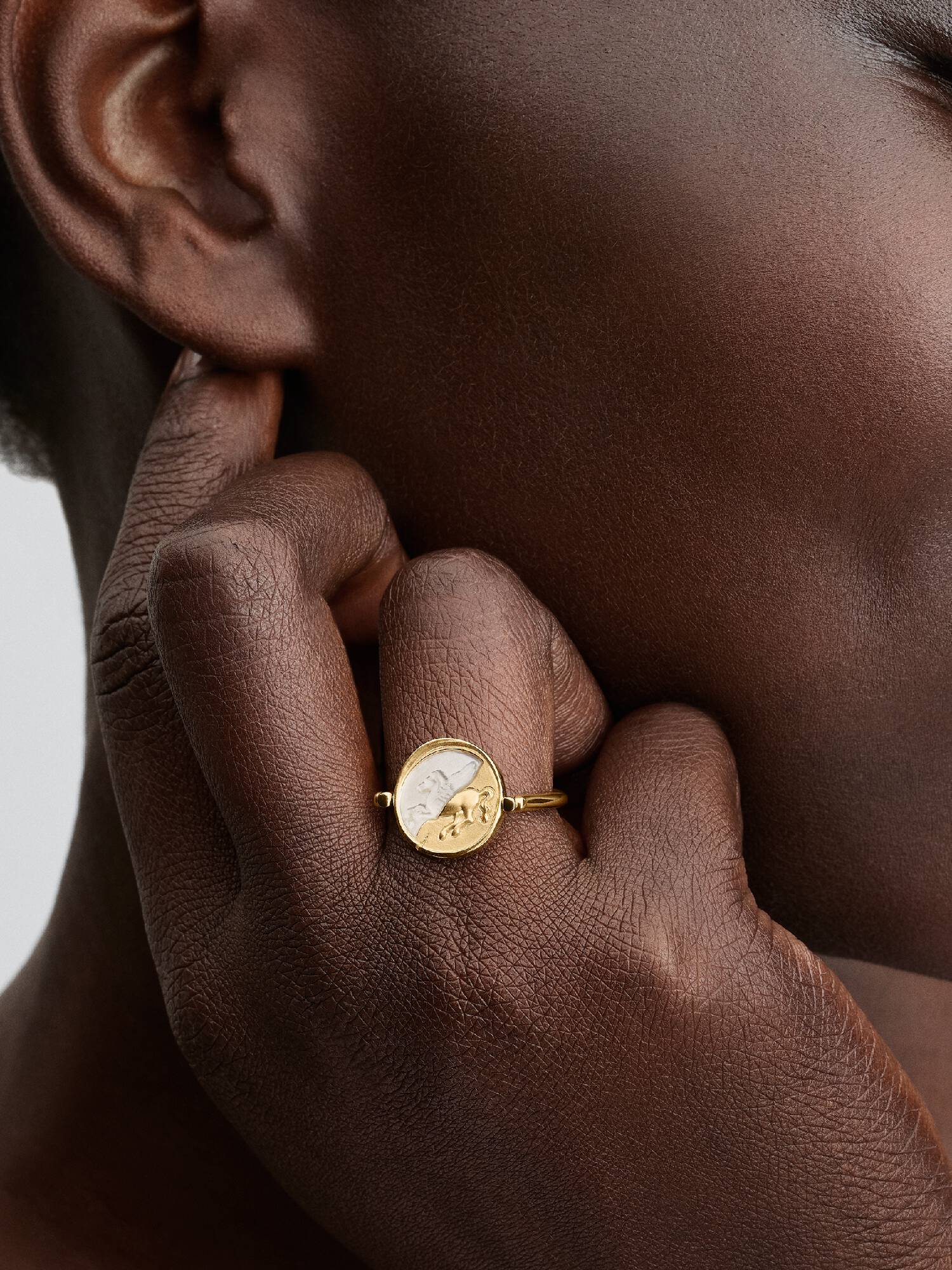 Pegasus Omkeerbare Medaillonring 