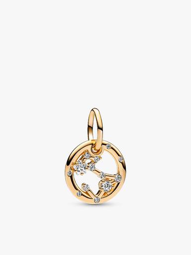 Dierenriem Vissen Armband Set