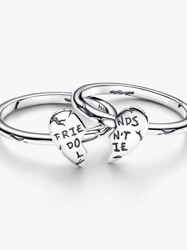 Deelbare ring Stranger Things Friends Don't Lie