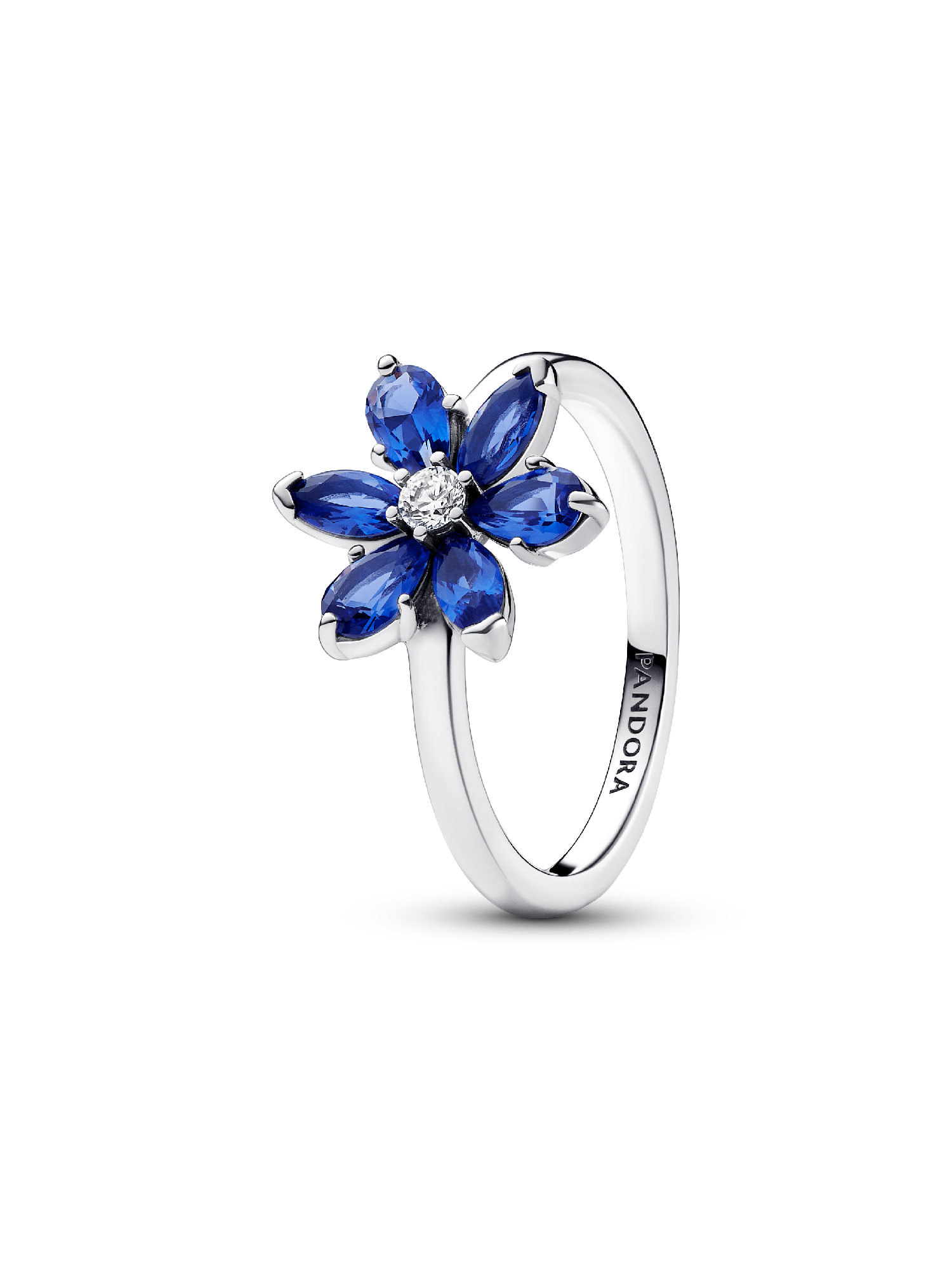 Sprankelende Herbarium Cluster Ring