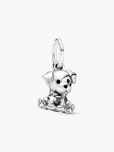 Labrador Puppy Hangende Bedel