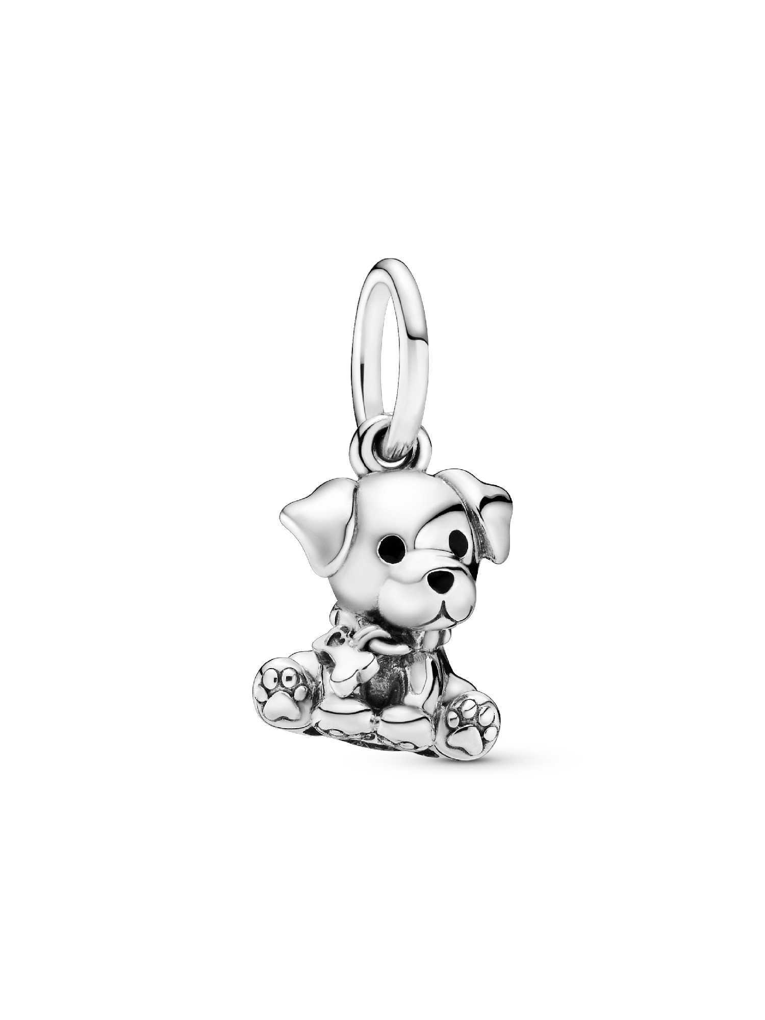 Labrador Puppy Hangende Bedel