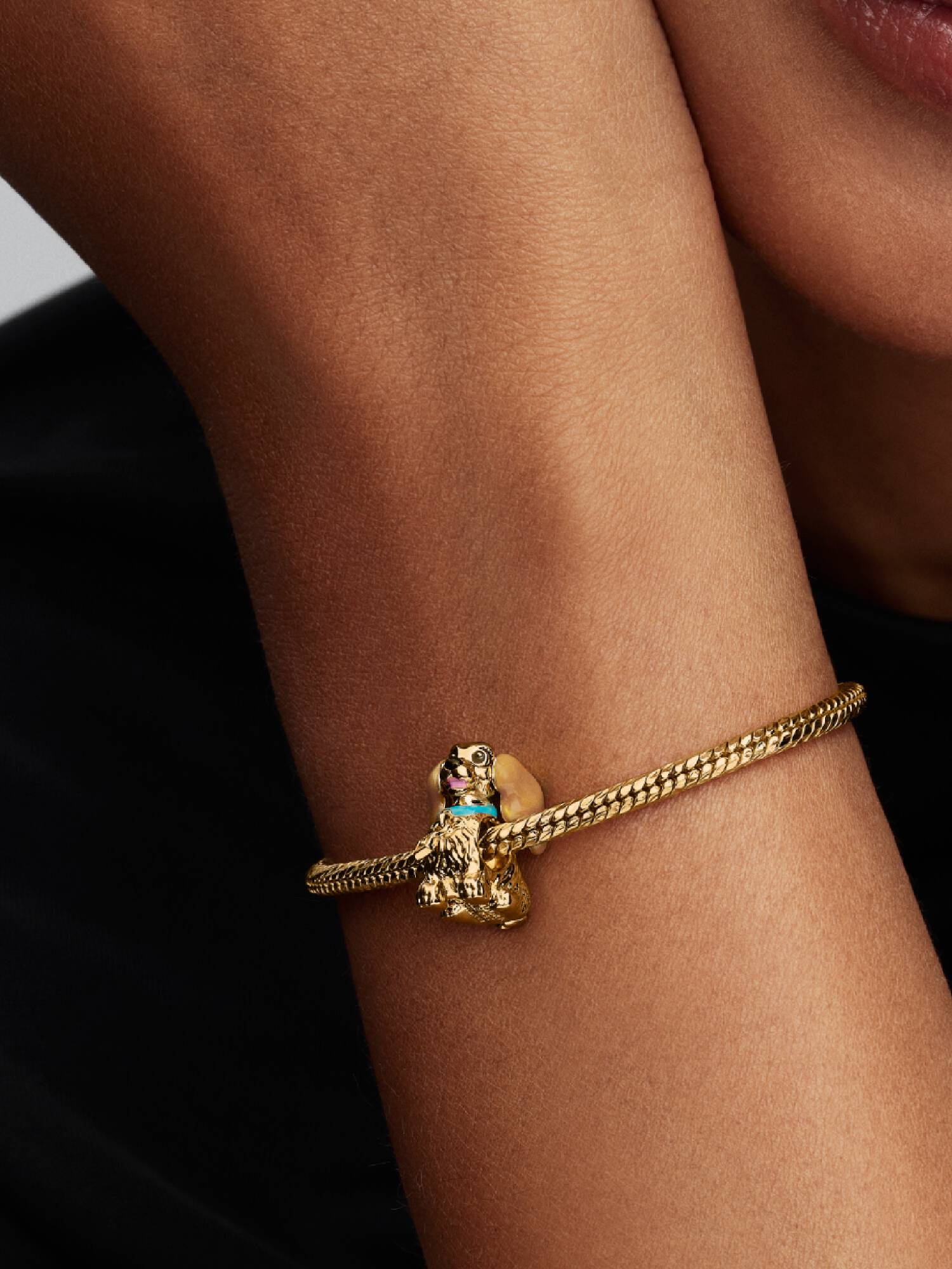 Disney Lady Charm 