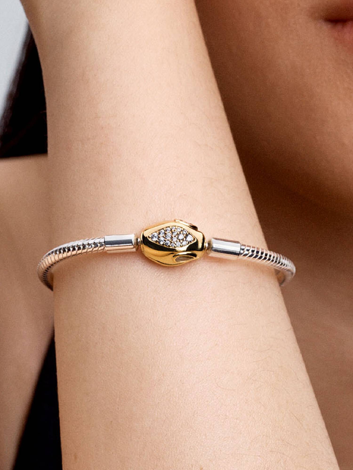 Slangensluiting & Snake Chain Armband