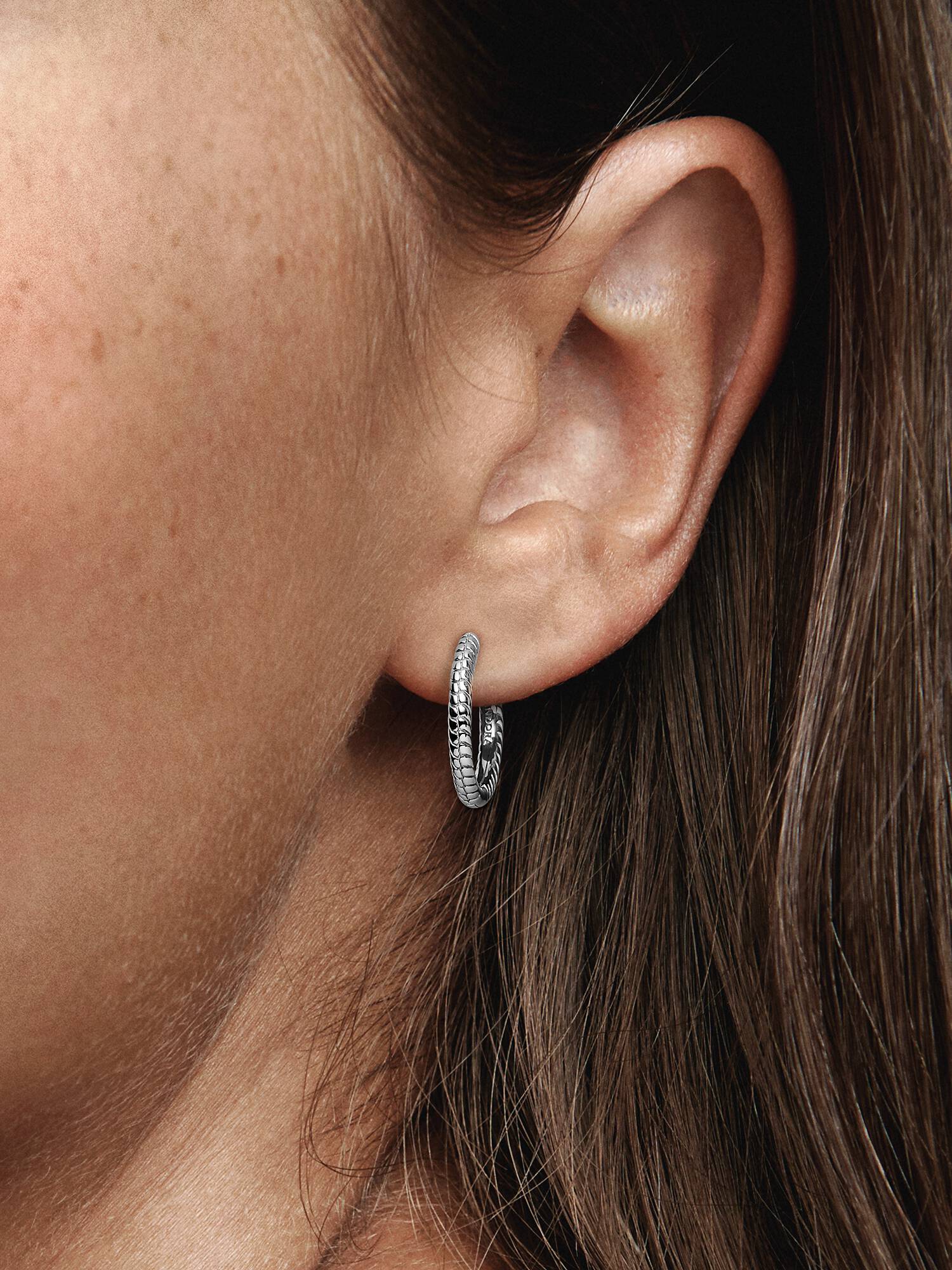 Pandora Moments kleine bedeloorringen