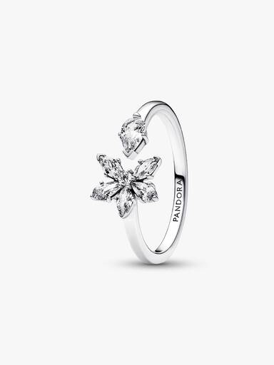 Sprankelende Herbarium Cluster Ring