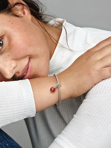 Rood lieveheersbeestje hangende bedel