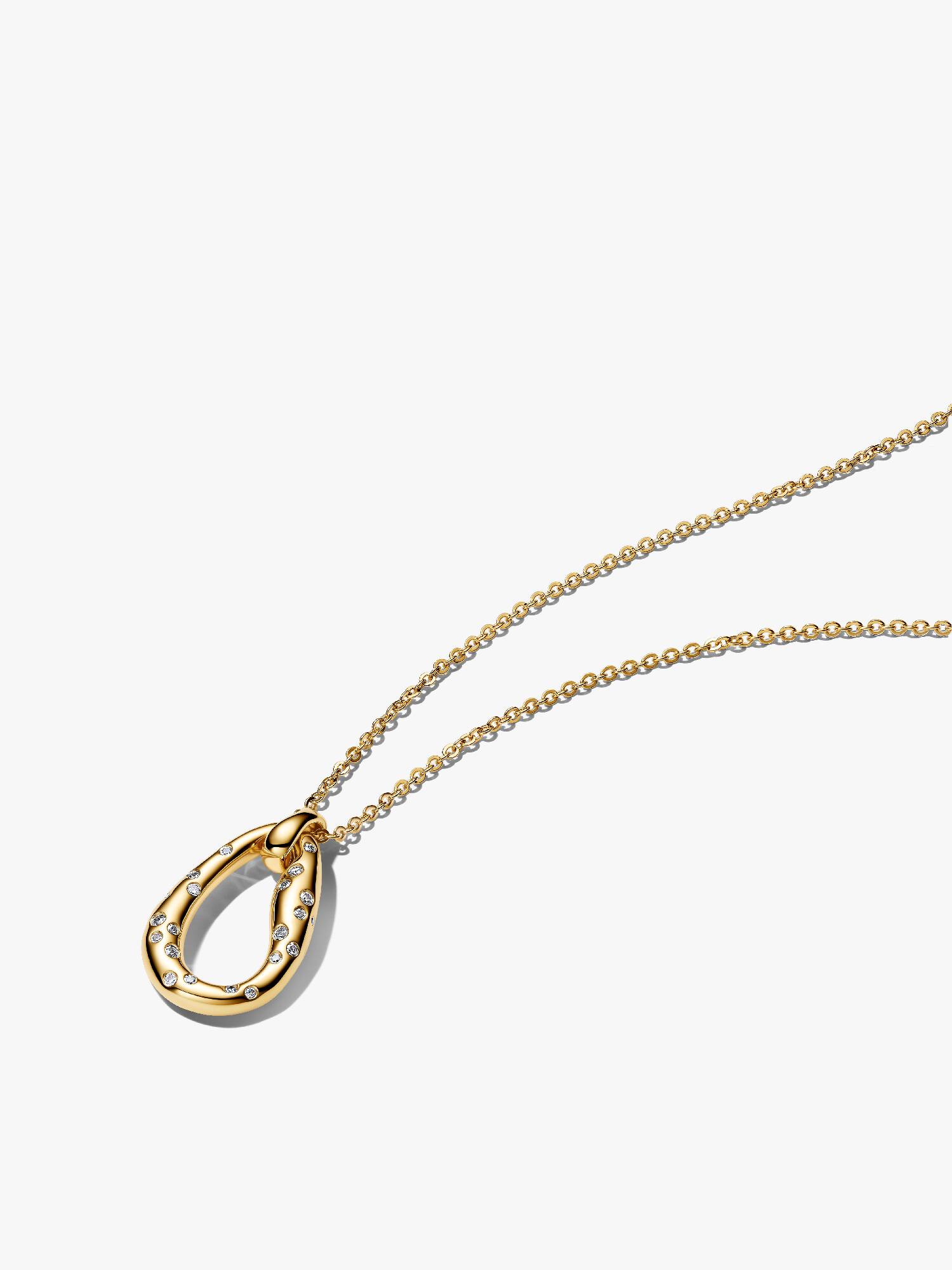 Organisch Gevormde Tweekleurige Hanger met Ketting