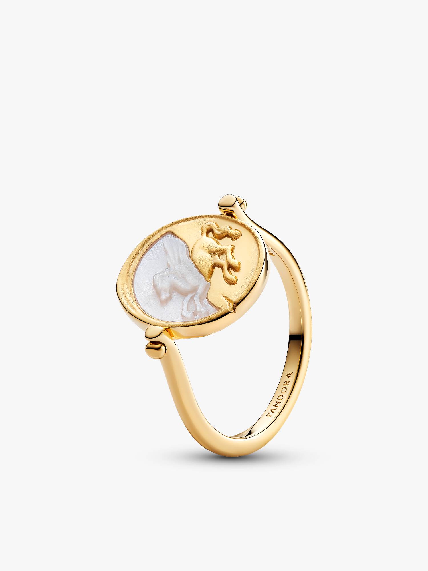 Pegasus Omkeerbare Medaillonring 