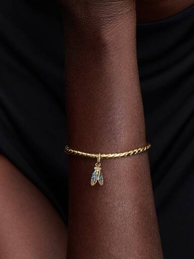 Cicada Hangende Bedel