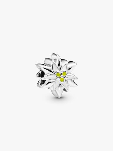 Edelweiss Bedel
