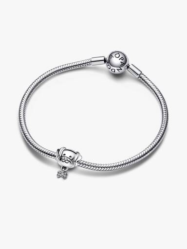 Pet Dog & Bone Bedel