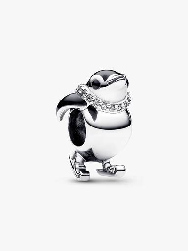 Skiënde Pinguïn Bedel